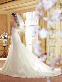 Y11406 - Talisa