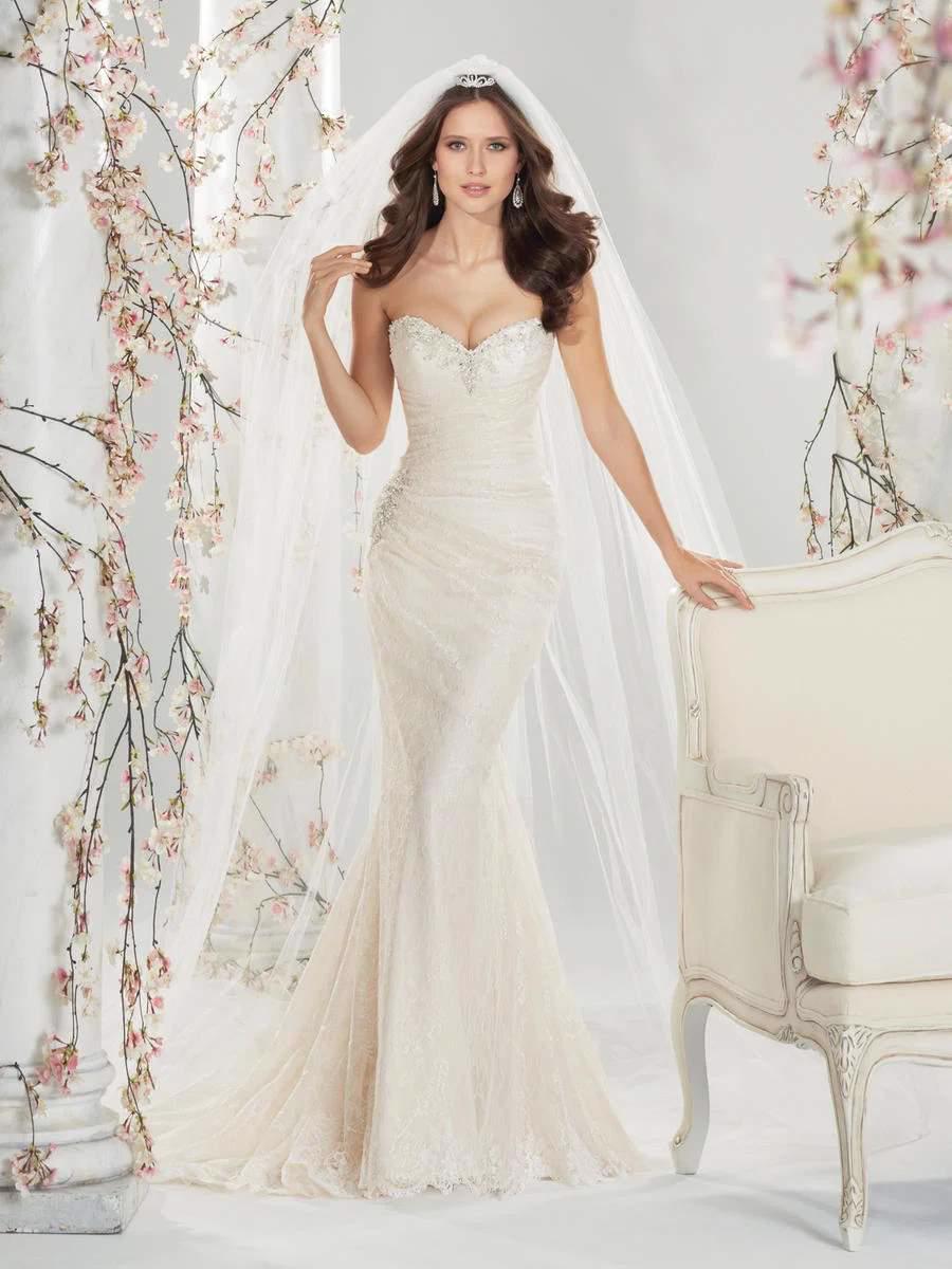 Y11415 - Roslyn